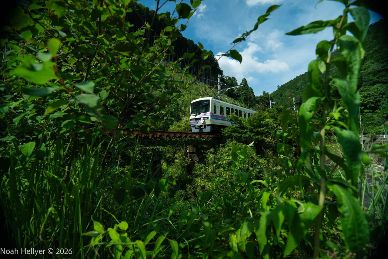 A small white train crossing a bridge through dense green forest in the mountains north of Kyoto.
